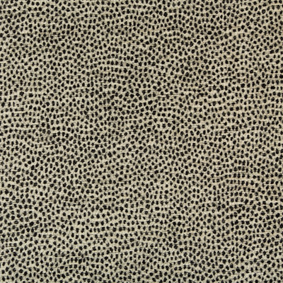 Performance Crypton Home Fabric