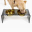 Acrylic Double Bowl Elevated Pet Feeder-393206239