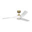 Visual Comfort Fan Touro Smart 60 LED Indoor Ceiling Fan with Threaded Downrod, Dark Walnut ABS blades and Handheld Remote-51586988-51586989