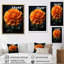 " Gold Marigold Radiant Marigold An "-778693923-778693926
