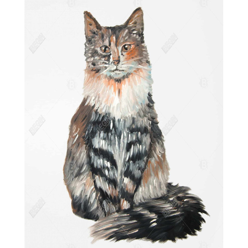 Norwegian Forest Cat Print On Canvas