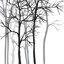 " Vector Background With Trees "