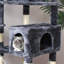 Arbre à chat pour chats d'intérieur Grande tour de chat à plusieurs niveaux avec perchoirs en peluche, poteau à griffes en sisal-1545706588-1545706589