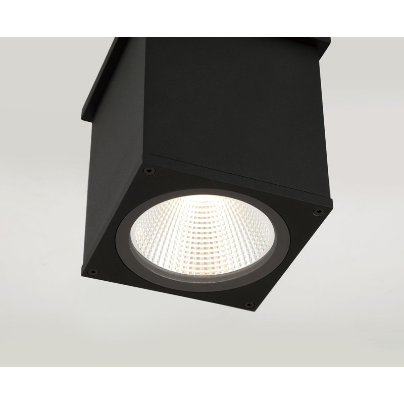 Arena 100 Ceiling Mount, 14W, Black Finish