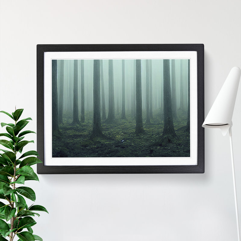 A Captivating Forest - Framed Print, Black, 46cm H x 64cm W x 2cm D