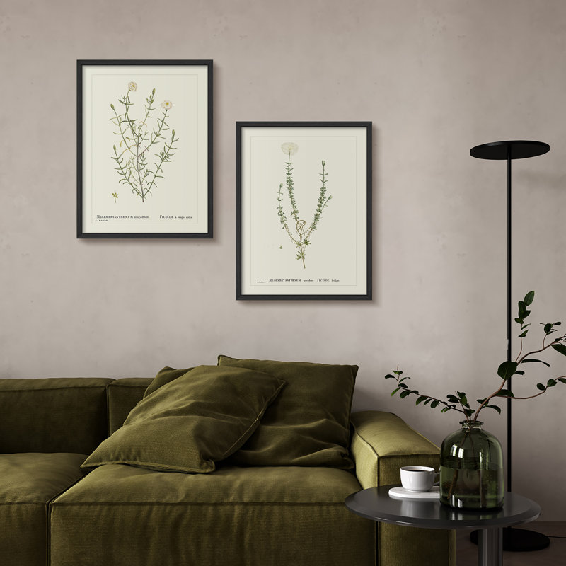 «Vintage Botanical Herb Study», ensemble de 2 reproductions d'art encadrées - Illustration de plante classique pour la salle à manger de la cuisine