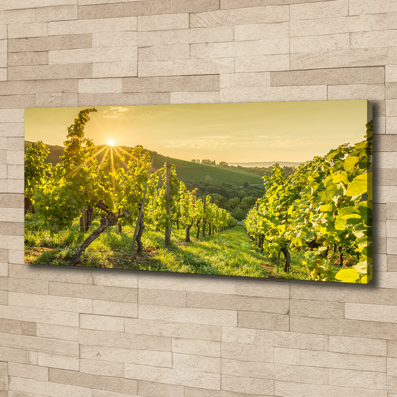 Vineyard - Wrapped Canvas Print