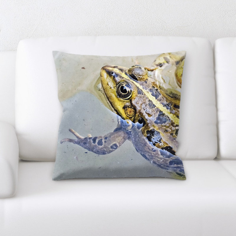 Coussin de grenouille