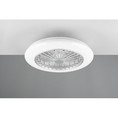 Ehrentraud 50cm Ceiling Fan with LED Lights