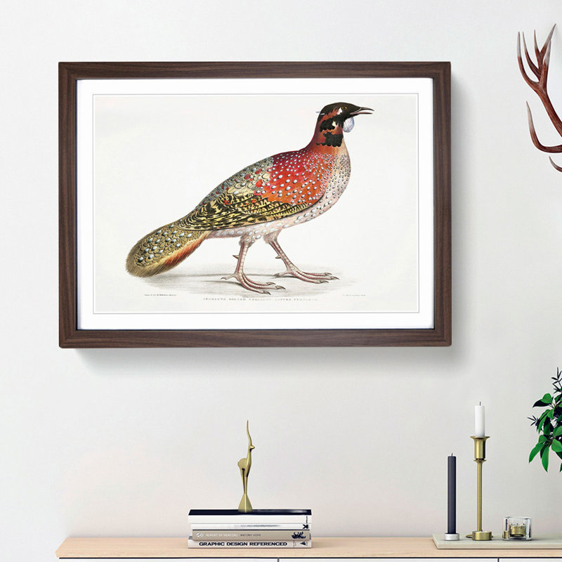 Pennant's Horned Pheasant by John Edward Gray - Picture Frame Painting Print, Walnut Framed, 27cm H x 36cm W x 2cm D