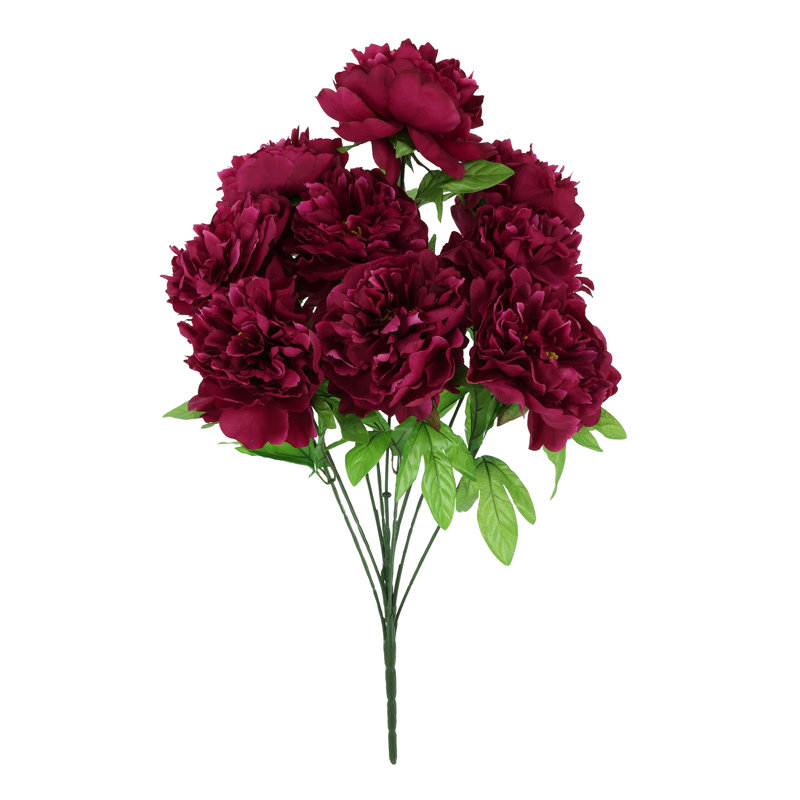 Fausse tige de pivoine