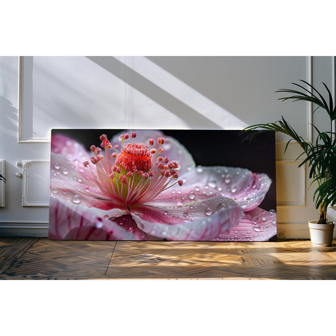 Wandbild 120x60cm Weiße Blume Blüte Nahaufnahme Makro Tropfen