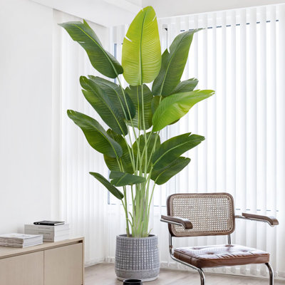 Aneekha 200cm Faux Plant