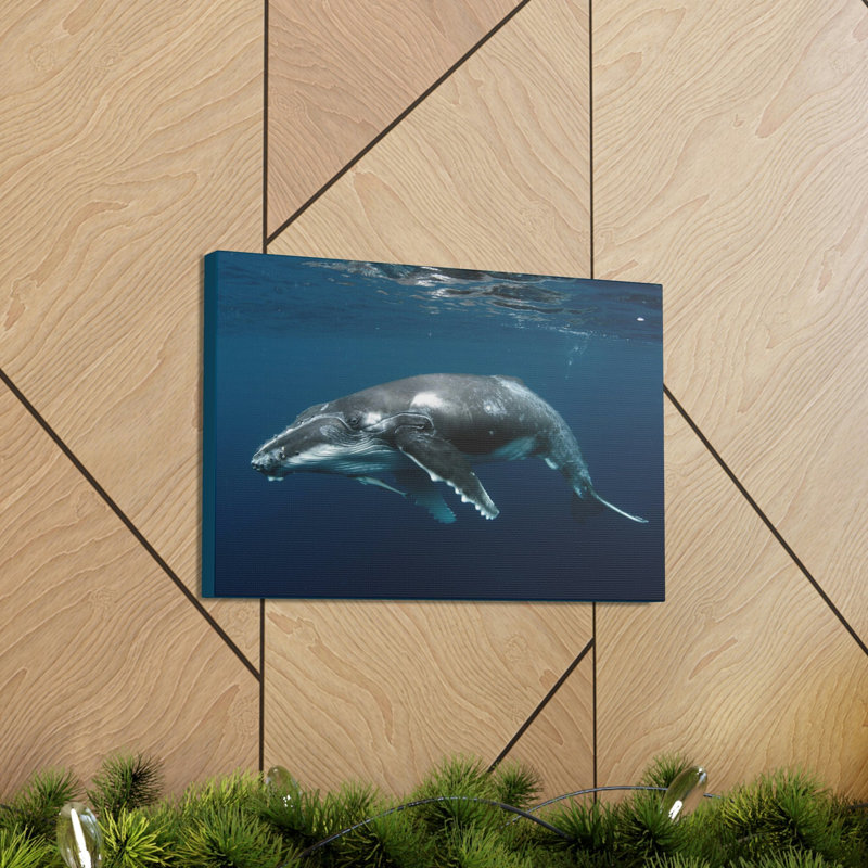 No Frame Print on Canvas, 30.48cm H x 40.64cm W