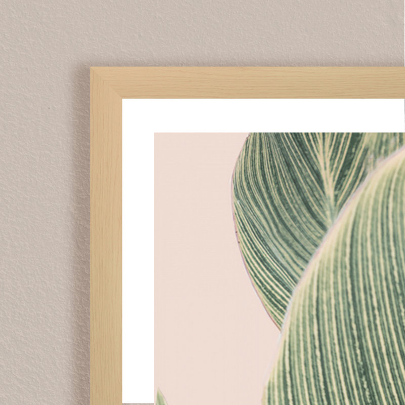 Coastal Retreat Calla Leaf by  - Picture Frame Graphic Art on Paper, 24" H x 16" W x 1.125" D, Framed Matted Print, Beige