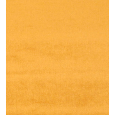 Essential Velvets Glamour Fabric