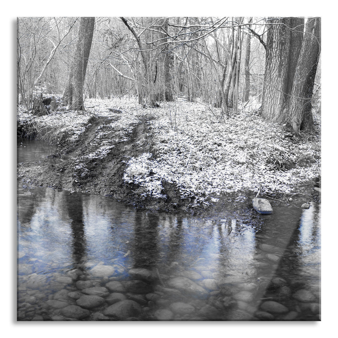 Glasbild Schneebedeckter Waldboden