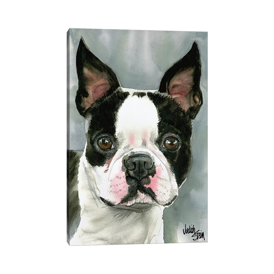 American Gentleman - Boston Terrier by Judith Stein - Painting on Canvas