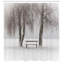 Rideau de douche simple Farm House-22597795