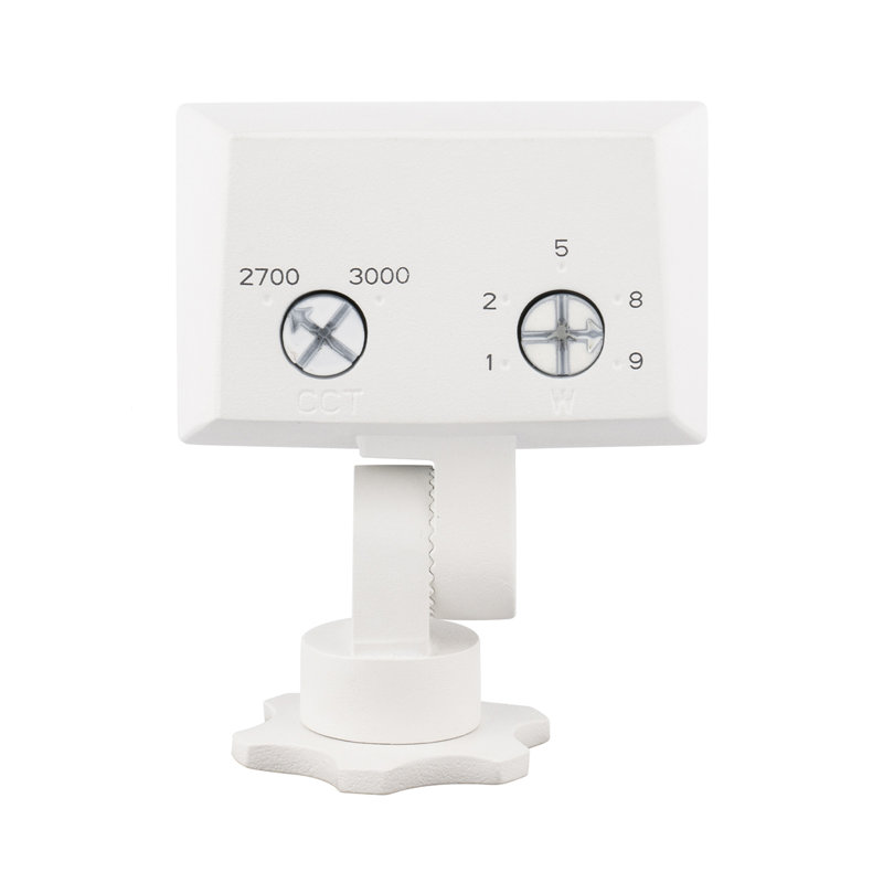 LED Flood Light