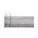 Bungalow Rose Dinah Timeless Rug