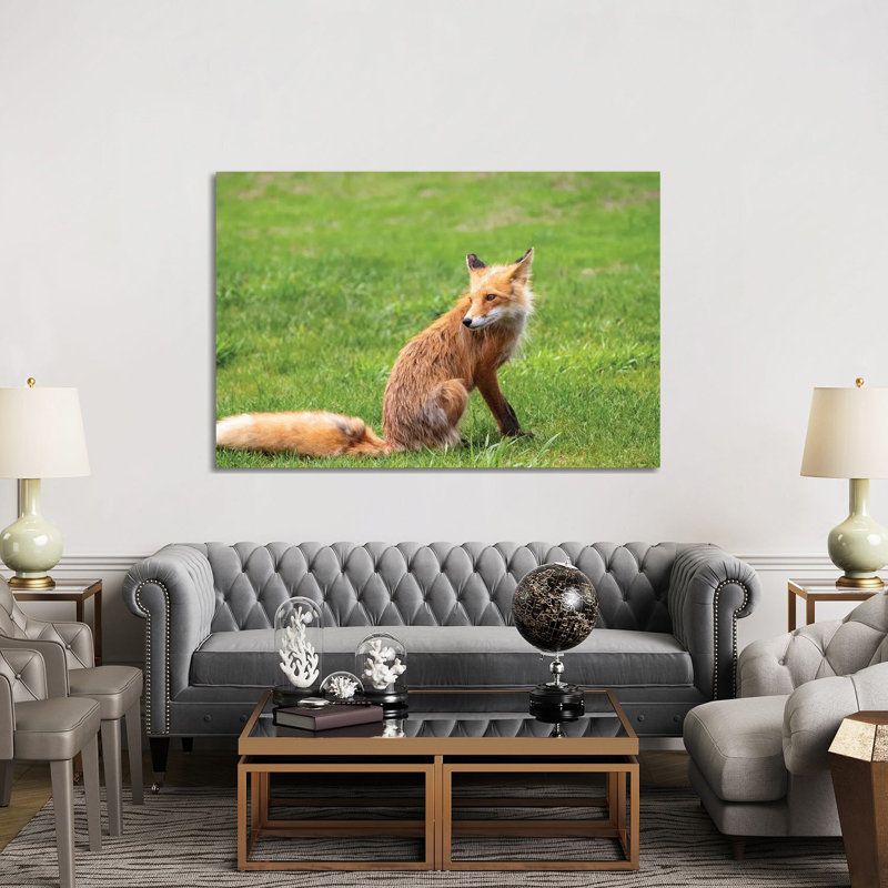 Red Foxon Grass 1 Piece Wrapped Canvas Wall Art, 152.5 cm H x 101.5 cm W