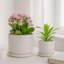 Jardinières en céramique embossée avec soucoupe pour l'intérieur et l'extérieur - Pots de fleurs texturés décoratifs pour le salon et le patio - Blanc-2959497
