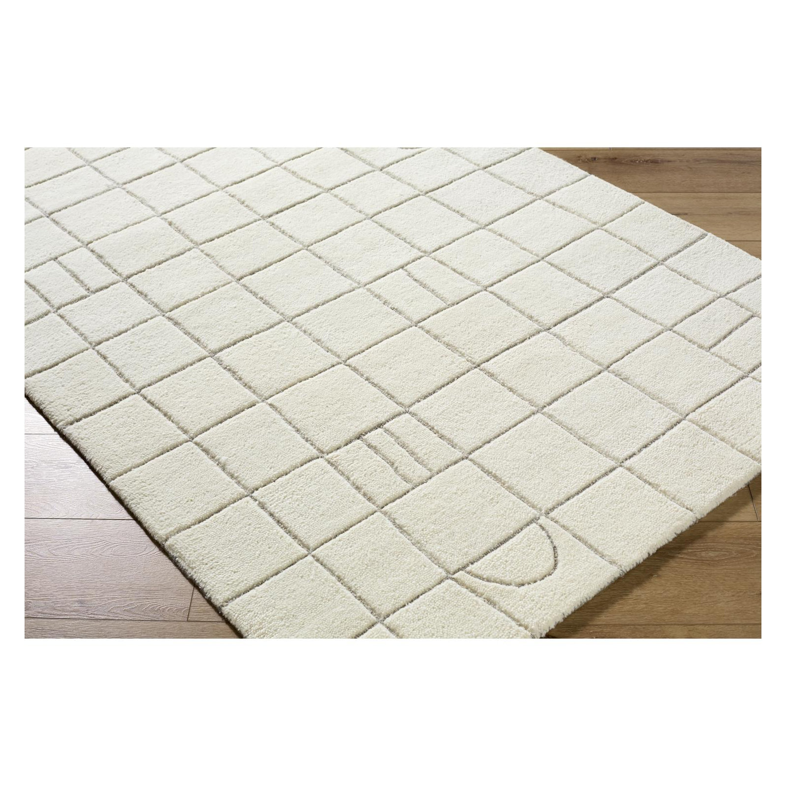Lorette Hand Tufted Wool Off-White Rug, Rectangle 2' x 3'
