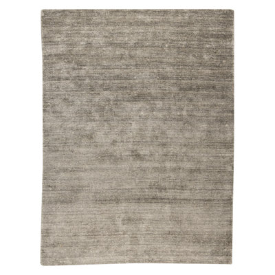 Hayner Viscose Indoor Rug