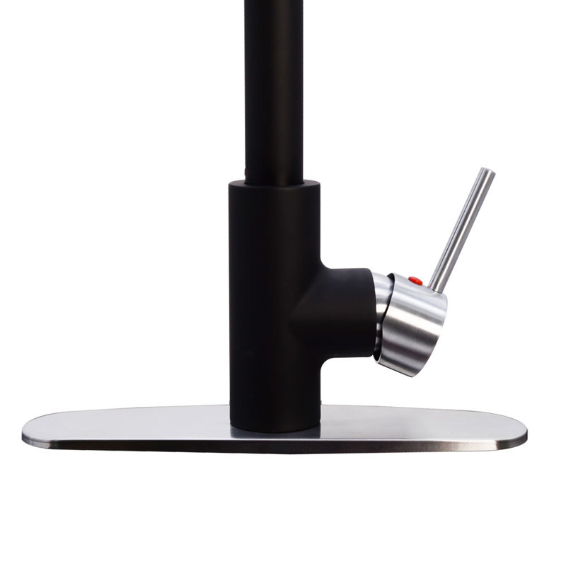 Dual Spray Push Button Mode Kitchen Faucet with Pull Down Sprayer Head, Matte Black/Stainless Steel