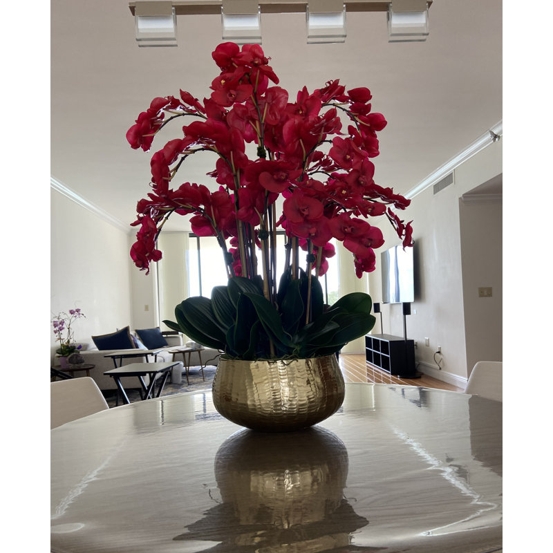 Roberi Arrangement