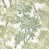 Forest/Willow