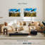 Grand Teton Eagle-730715802-730715779