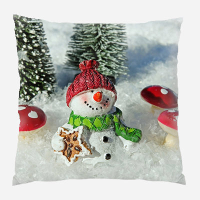 Canvas Outdoor Reversible Throw Pillow