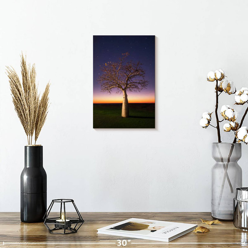 Starry Sky Boab, 12" H x 8" W
