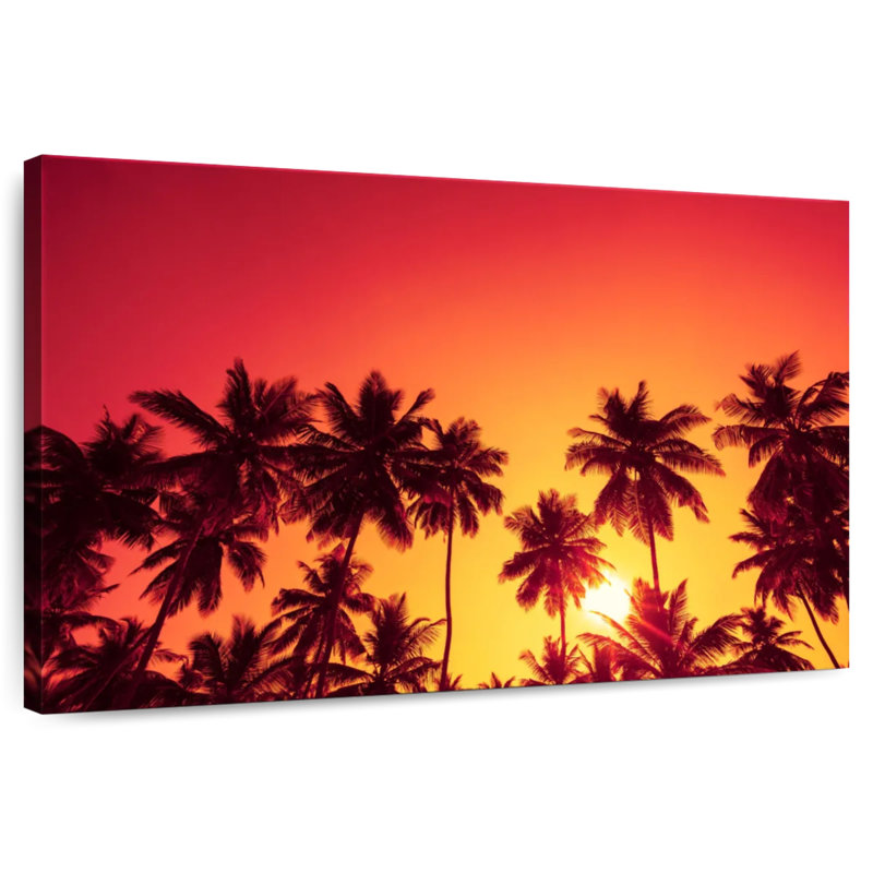 Ciel Harnek au-dessus des palmiers tropicaux, H 8 po x l 12 po