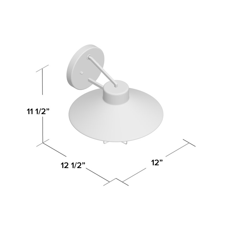 Luminaire de grange d'extérieur Dan, Noir, H 11,5 po x l 12 po x p 12,5 po