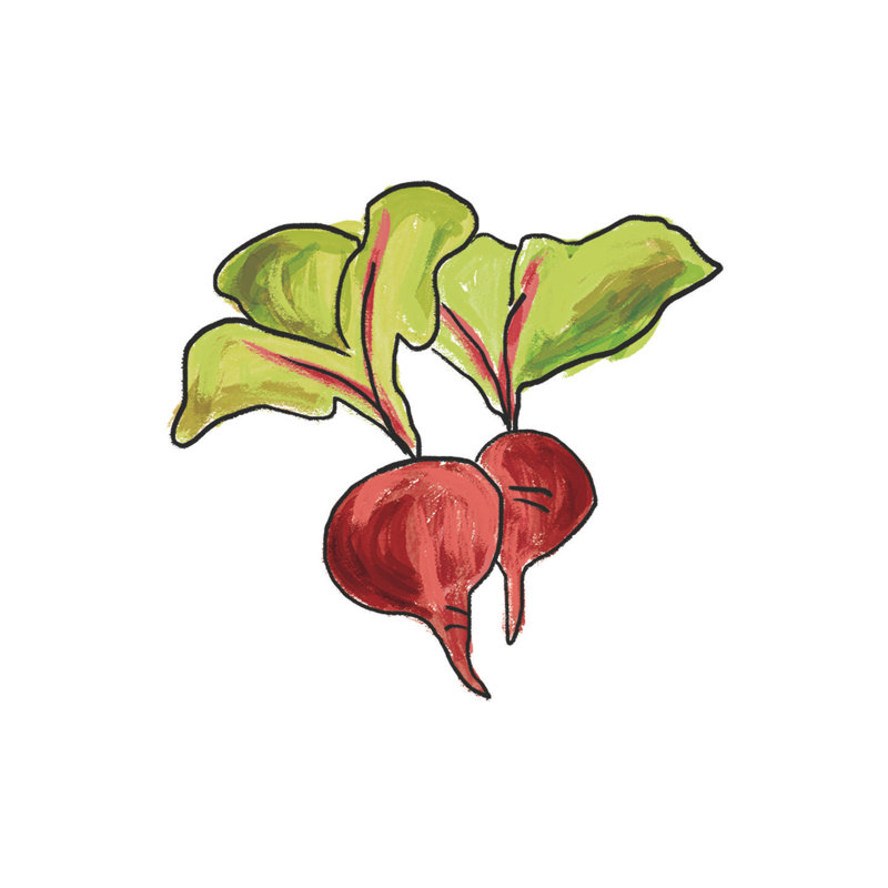Simple Beet - Wrapped Canvas Painting, 91cm H x 91cm W x 3.8cm D