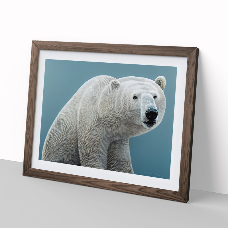 Interesting Polar Bear - Framed Print, 46cm H x 64cm W x 2cm D, Walnut