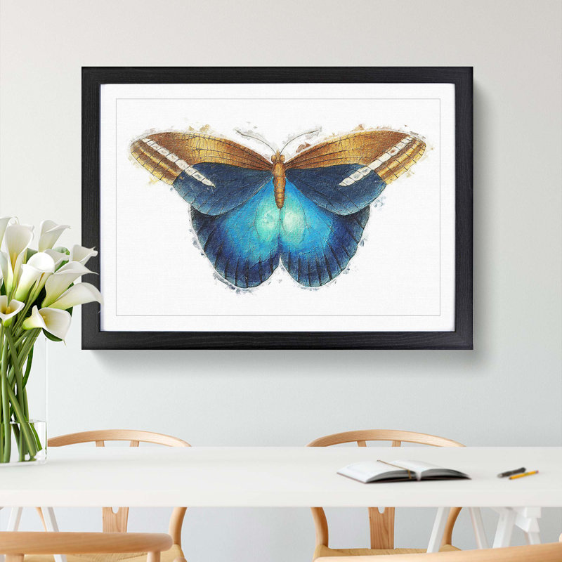 Idomeneus Butterfly by George Shaw - Framed Print, 36cm H x 48cm W x 2cm D, Black Framed