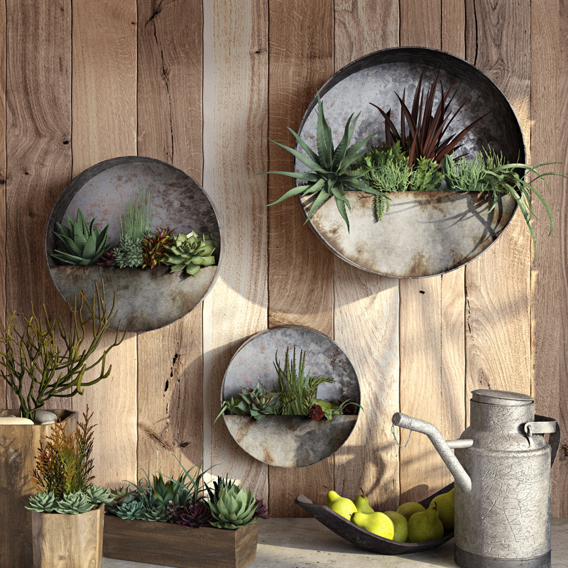 Ensemble de pots à fleurs muraux ronds en métal Aria