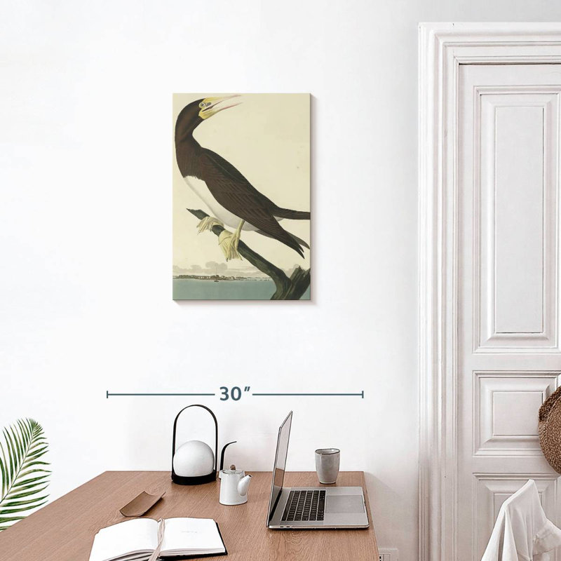 Brampt Booby Gannet, 24" H x 16" W