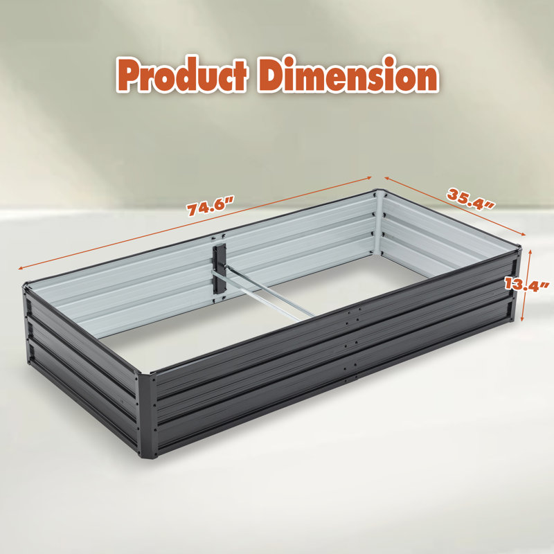 6x3x1 Ft