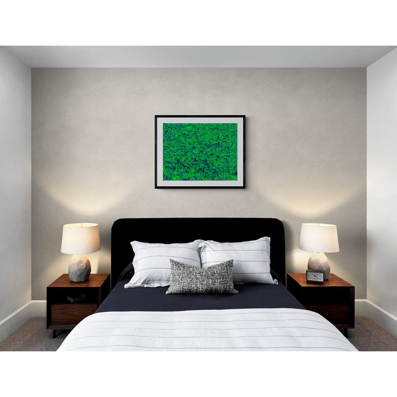 Forest Awakening Print by Drew Gaffney, 24" H x 30" W, Black Framed Paper