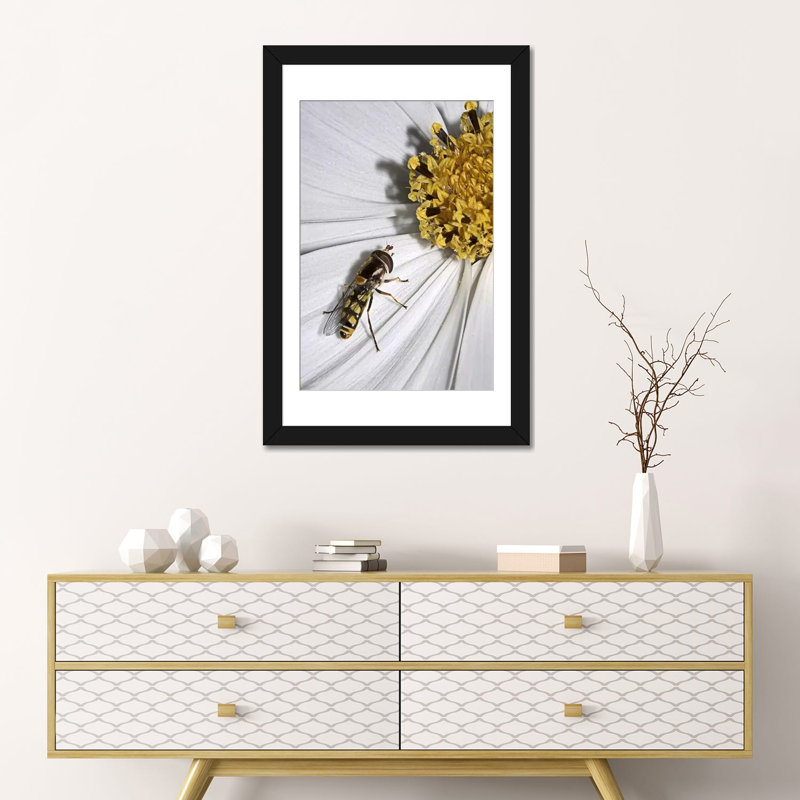 « one from sd smart », reproduction de photo sur toile, H 24 po x l 16 po x P 1 po, Papier avec cadre noir, Blanc
