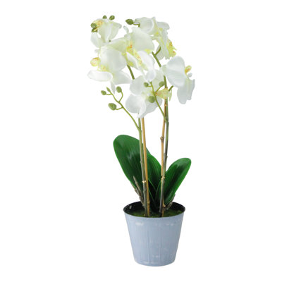Plante artificielle orchidée phalaenopsis