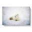 Resting Arctic Fox - Wrapped Canvas-56629616