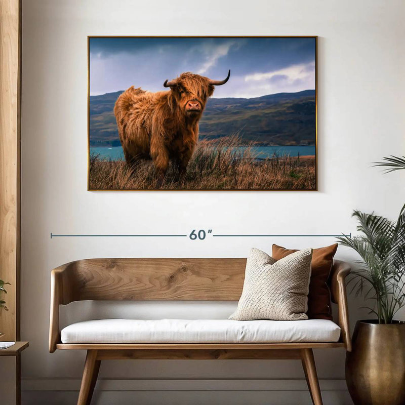 Grande vache Highland, 46 po x 31 po, Cadre flottant doré