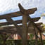Jaquante Premium Wall Mounted Pergola-1541021422-1541021424