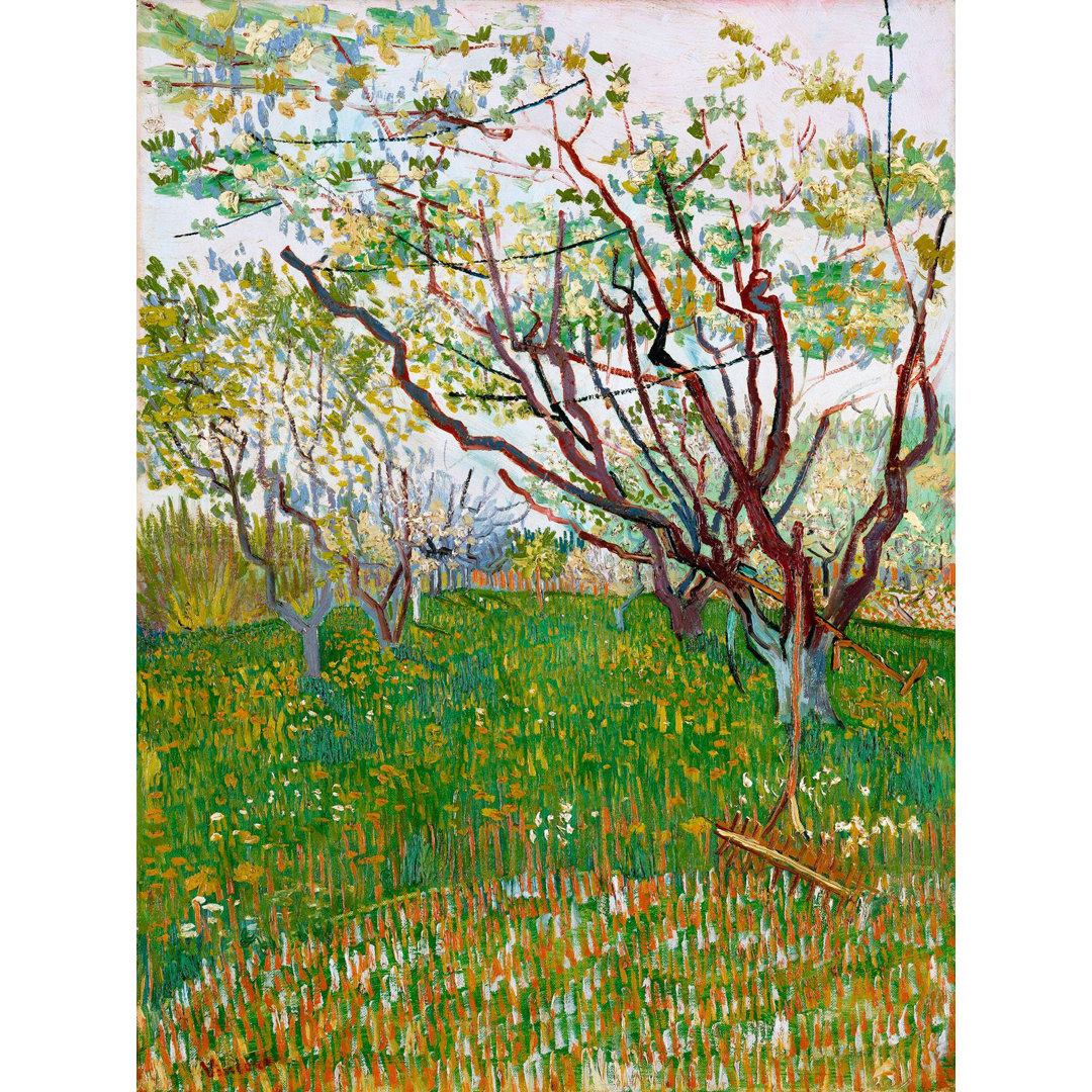 Poster Blühender Obstgarten von Vincent Van Gogh